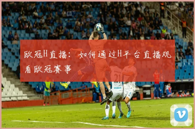 欧冠H直播：如何通过H平台直播观看欧冠赛事