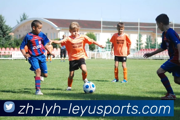 乐鱼官网服务体系