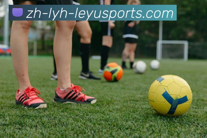 乐鱼官网APP 体育赛事宣传图